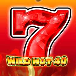 Wild Hot 40